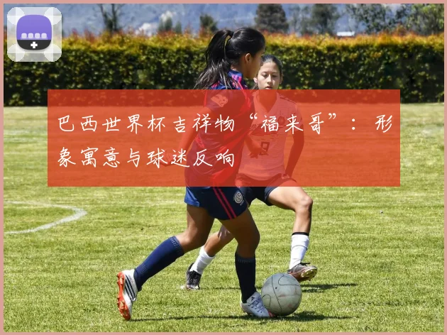 巴西世界杯吉祥物“福来哥”：形象寓意与球迷反响